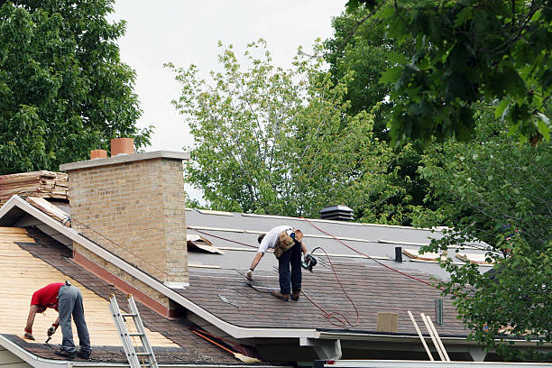 Best Storm Damage Roof Repair  in Kittredge, CO