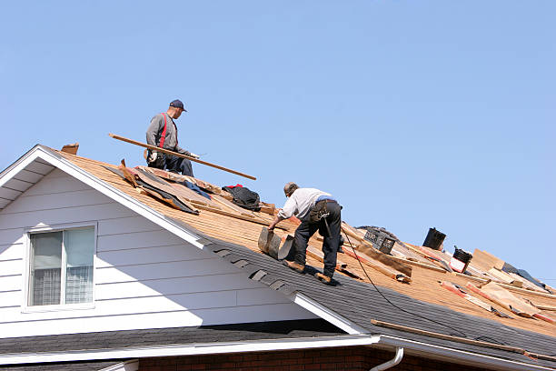 Best Rubber Roofing (EPDM, TPO)  in Kittredge, CO